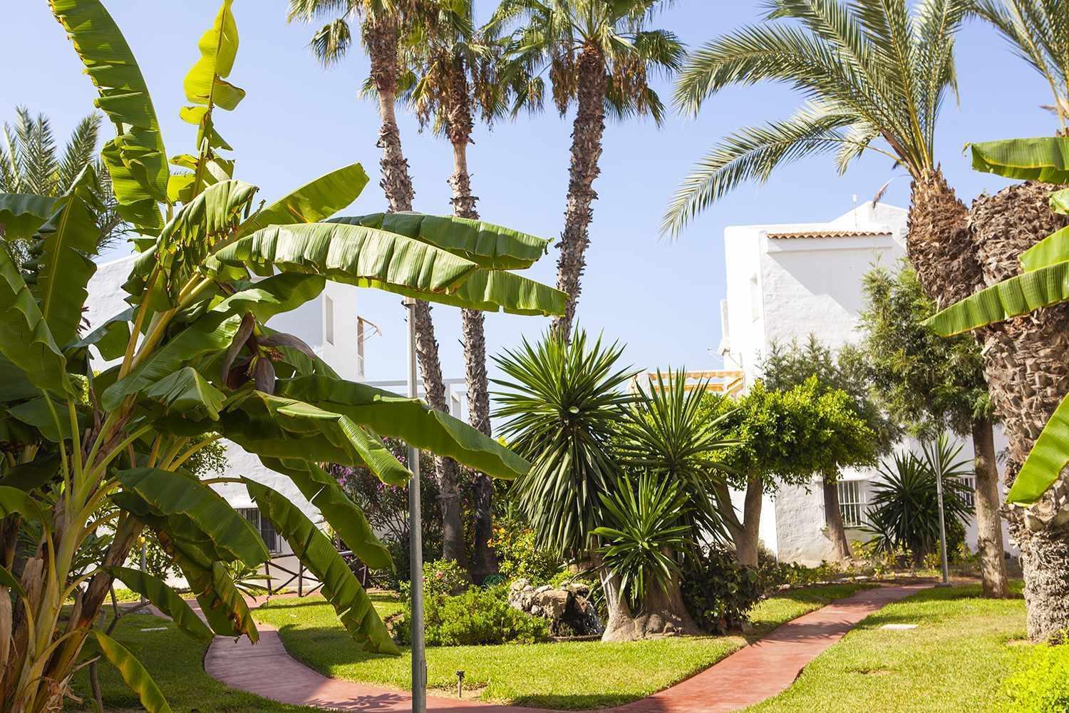 A 100M De Playa Piscina Y Todos Los Servicios Apartment Torrox Bagian luar foto